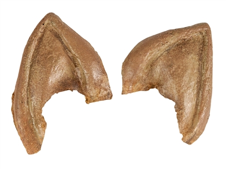 Leonard Nimoy Movie Worn Spock Ears From the Movie "Star Trek III-The Search For Spock" (Nimoy Auction LOA)